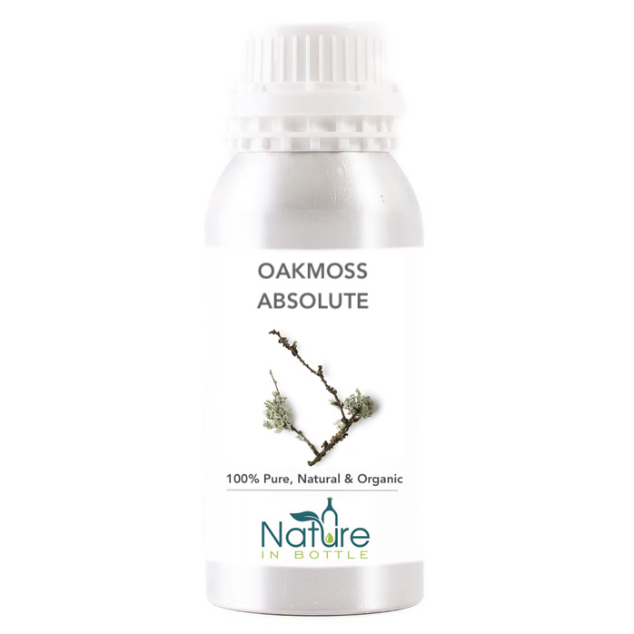 Oakmoss Absolute Organic - Evernia Prunastri Essential Oil